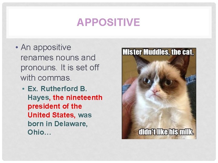 APPOSITIVE • An appositive renames nouns and pronouns. It is set off with commas.