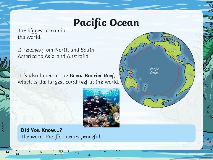 The biggest ocean in the world. Pacific Ocean It reaches from North and South The biggest ocean in the world. Pacific Ocean It reaches from North and South