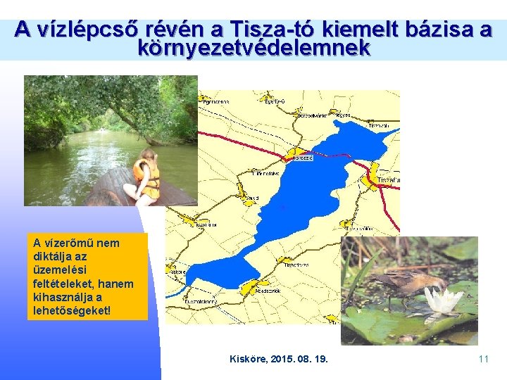 A vízlépcső révén a Tisza-tó kiemelt bázisa a környezetvédelemnek A vízerőmű nem diktálja az