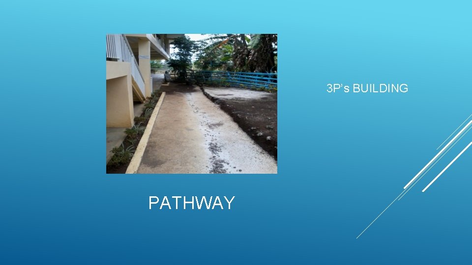 3 P’s BUILDING PATHWAY 