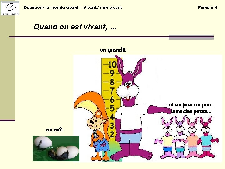 Découvrir le monde vivant – Vivant / non vivant Fiche n° 4 Quand on