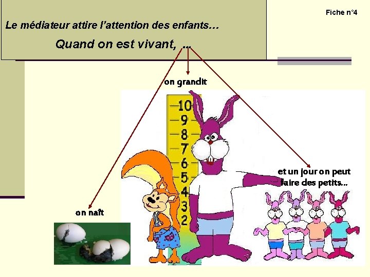 Découvrir le monde vivant – Vivant / non vivant Fiche n° 4 Le médiateur