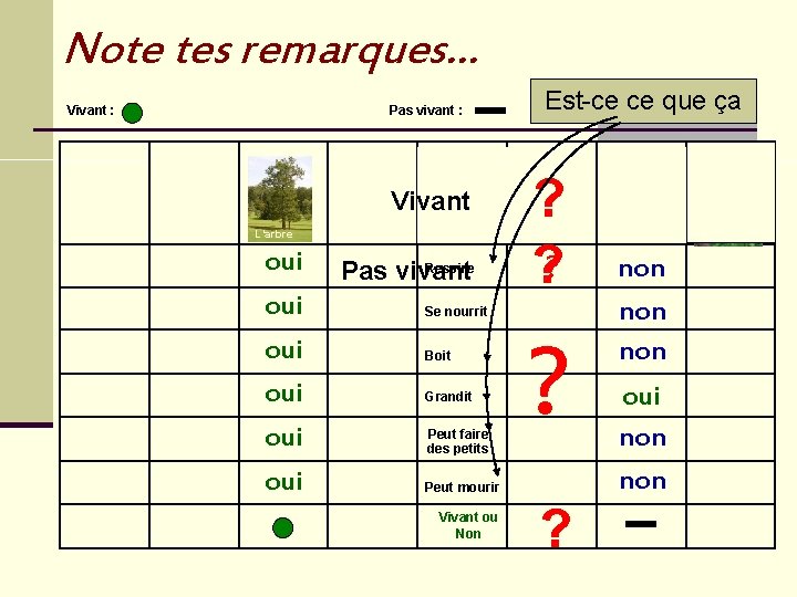 Note tes remarques… Vivant : Pas vivant : La voiture L’enfant Le violon Vivant