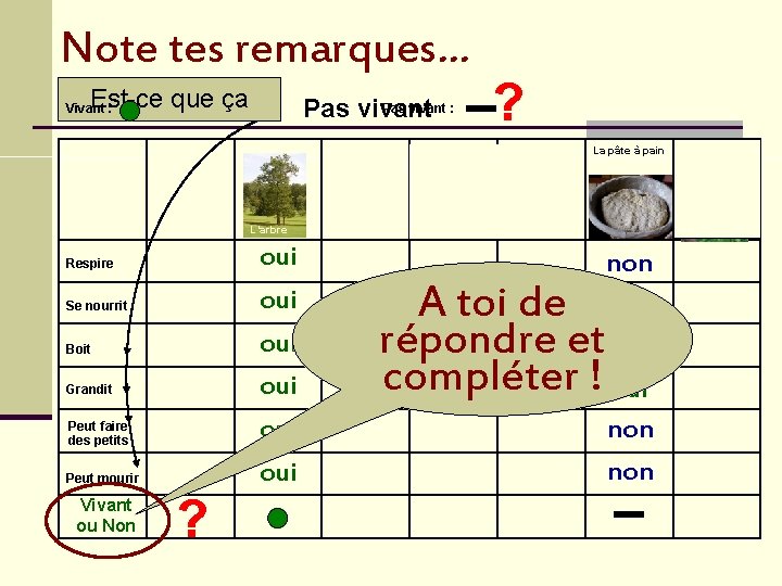 Note tes remarques… ? Est-ce que ça Vivant : Pas vivant : Pas vivant