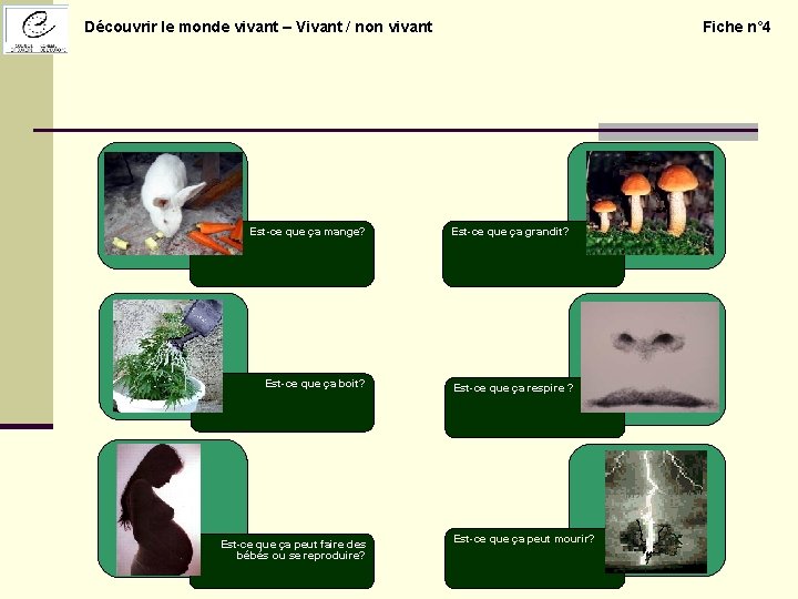 Découvrir le monde vivant – Vivant / non vivant Est-ce que ça mange? Est-ce