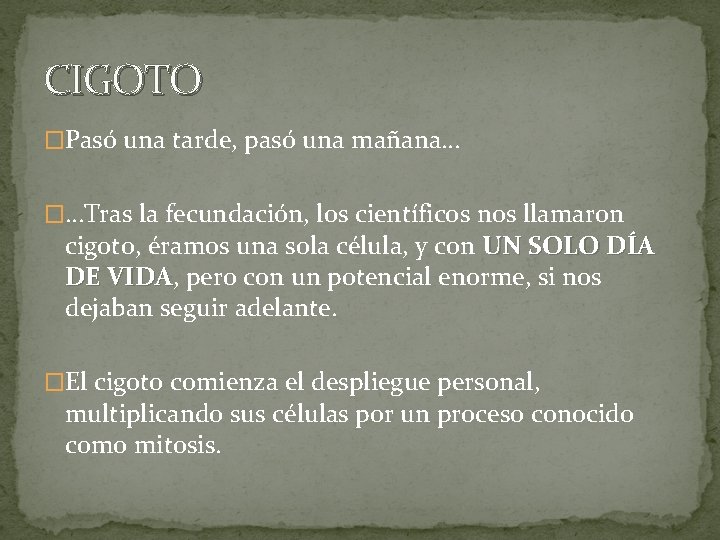 CIGOTO �Pasó una tarde, pasó una mañana… �…Tras la fecundación, los científicos nos llamaron