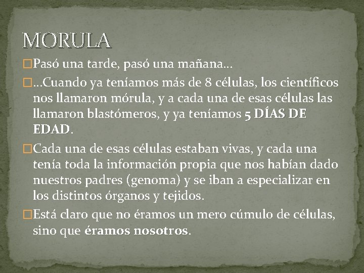 MORULA �Pasó una tarde, pasó una mañana… �…Cuando ya teníamos más de 8 células,