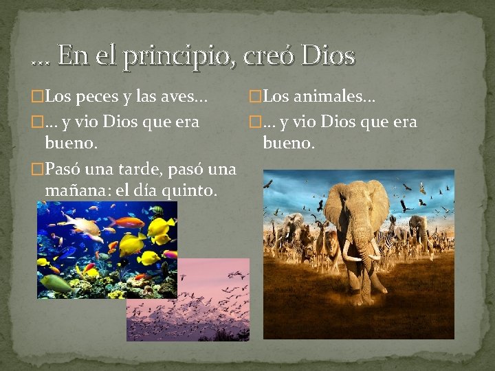 … En el principio, creó Dios �Los peces y las aves. . . �Los