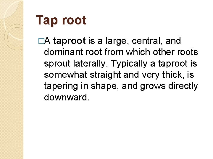 Tap root �A taproot is a large, central, and dominant root from which other