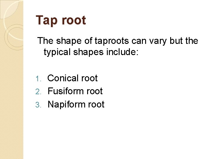 Tap root The shape of taproots can vary but the typical shapes include: Conical