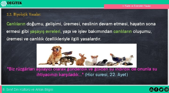 2. Kader ve Evrendeki Yasalar 2. 2. Biyolojik Yasalar: Canlıların doğumu, gelişimi, üremesi, neslinin