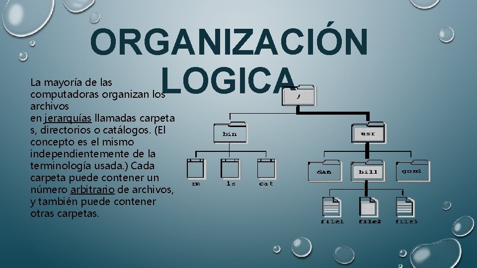 ORGANIZACIÓN LOGICA La mayoría de las computadoras organizan los archivos en jerarquías llamadas carpeta