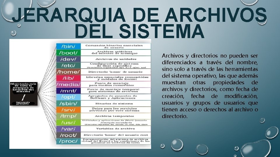 JERARQUIA DE ARCHIVOS DEL SISTEMA Archivos y directorios no pueden ser diferenciados a través