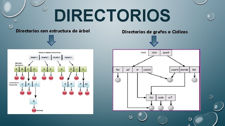 DIRECTORIOS Directorios con estructura de árbol Directorios de grafos o Cíclicos 