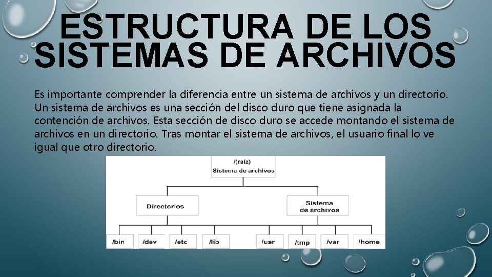 ESTRUCTURA DE LOS SISTEMAS DE ARCHIVOS Es importante comprender la diferencia entre un sistema