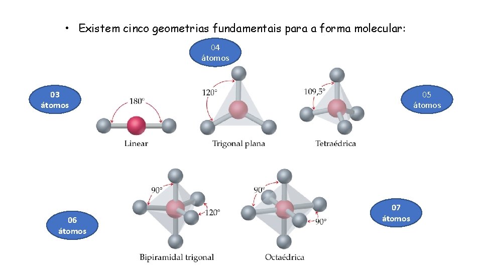  • Existem cinco geometrias fundamentais para a forma molecular: 04 átomos 03 átomos