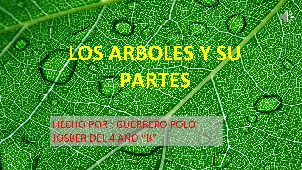 LOS ARBOLES Y SU PARTES HECHO POR : GUERRERO POLO JOSBER DEL 4 AÑO