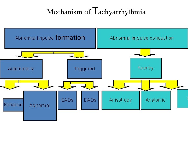 Mechanism of Tachyarrhythmia Abnormal impulse formation Automaticity Enhanced Abnormal impulse conduction Reentry Triggered EADs