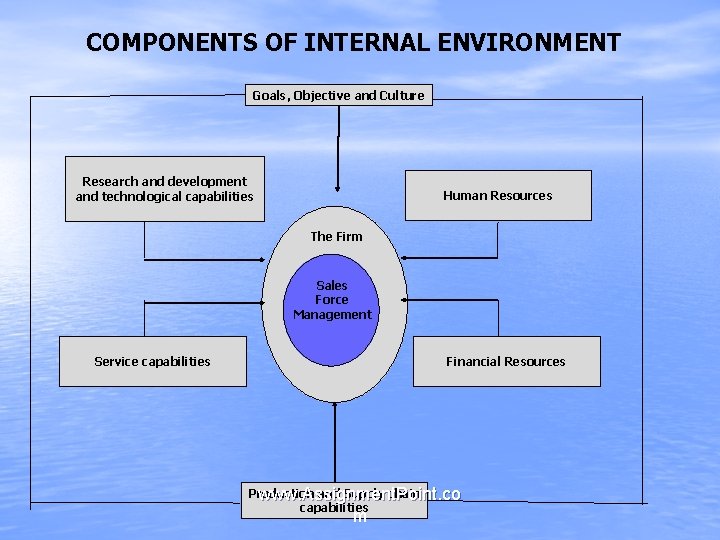 COMPONENTS OF INTERNAL ENVIRONMENT Goals, Objective and Culture Research and development and technological capabilities