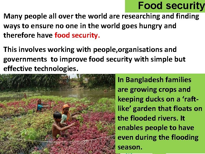 Food security Many people all over the world are researching and finding ways to