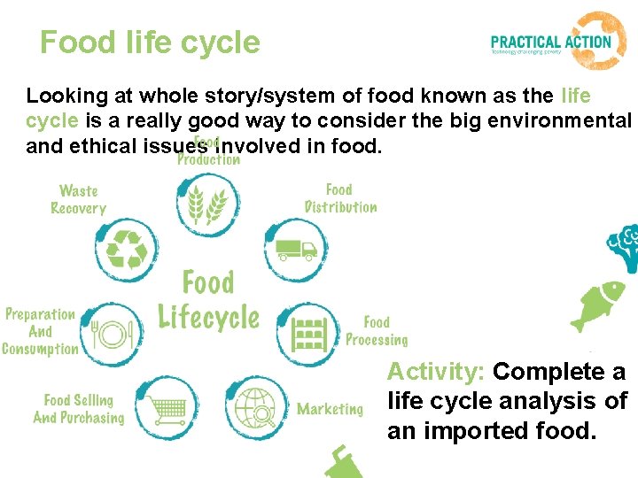 Food life cycle Looking at whole story/system of food known as the life cycle