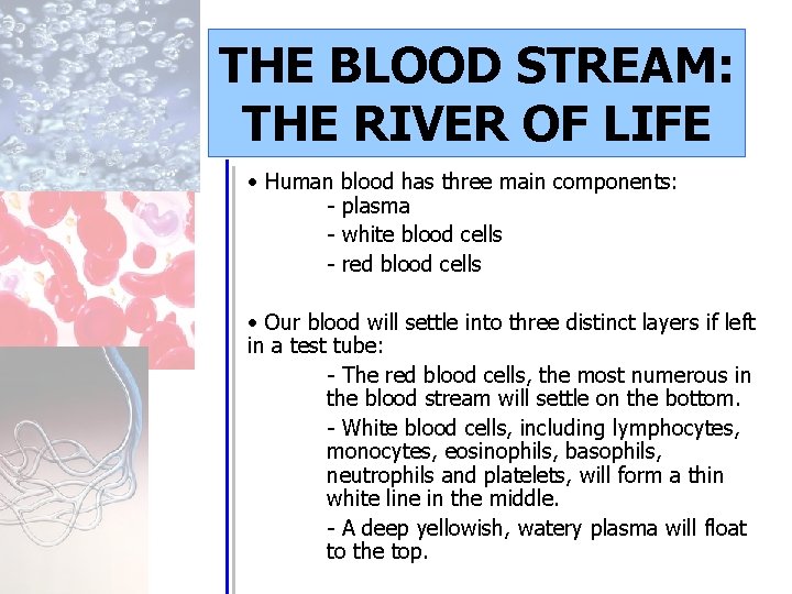 THE BLOOD STREAM: THE RIVER OF LIFE • Human blood has three main components: