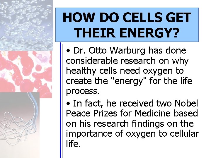 HOW DO CELLS GET THEIR ENERGY? • Dr. Otto Warburg has done considerable research
