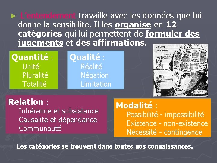 ► L’entendement travaille avec les données que lui donne la sensibilité. Il les organise ► L’entendement travaille avec les données que lui donne la sensibilité. Il les organise