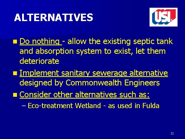 ALTERNATIVES n Do nothing - allow the existing septic tank and absorption system to