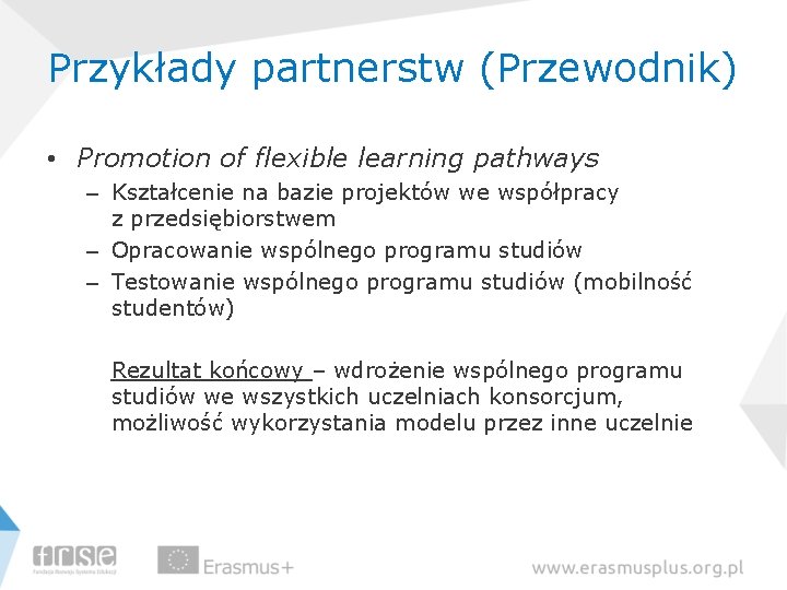 Przykłady partnerstw (Przewodnik) • Promotion of flexible learning pathways – Kształcenie na bazie projektów