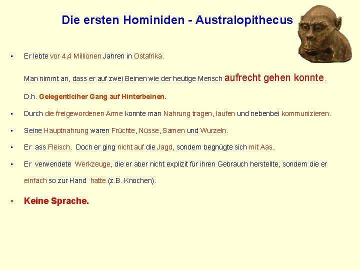 Die ersten Hominiden - Australopithecus • Er lebte vor 4, 4 Millionen Jahren in