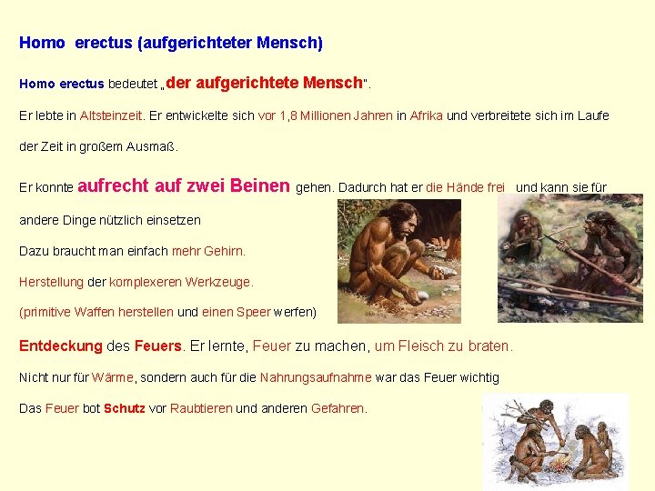 Homo erectus (aufgerichteter Mensch) Homo erectus bedeutet „der aufgerichtete Mensch“. Er lebte in Altsteinzeit.