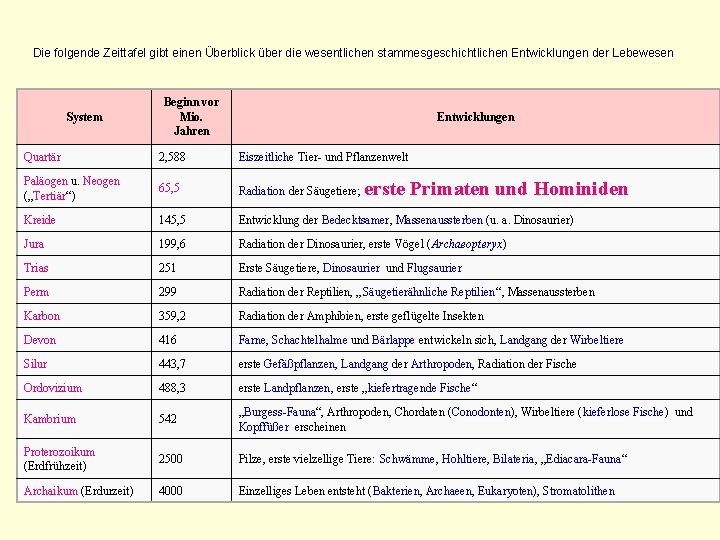 Die folgende Zeittafel gibt einen Überblick über die wesentlichen stammesgeschichtlichen Entwicklungen der Lebewesen System