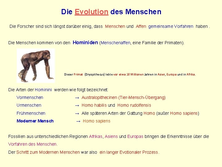 Die Evolution des Menschen Die Forscher sind sich längst darüber einig, dass Menschen und