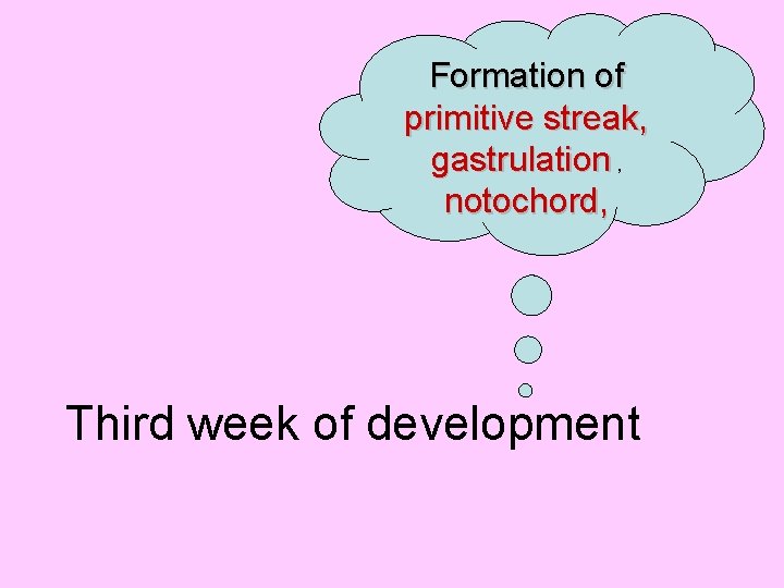 Formation of primitive streak, gastrulation , notochord, Third week of development 