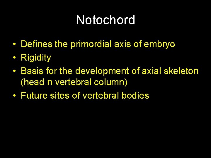 Notochord • Defines the primordial axis of embryo • Rigidity • Basis for the