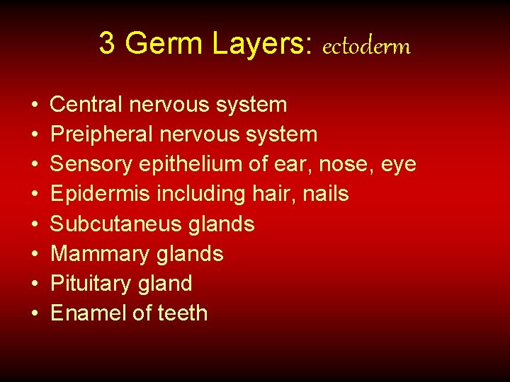 3 Germ Layers: ectoderm • • Central nervous system Preipheral nervous system Sensory epithelium