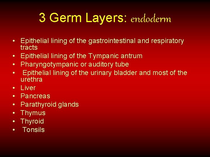 3 Germ Layers: endoderm • Epithelial lining of the gastrointestinal and respiratory tracts •