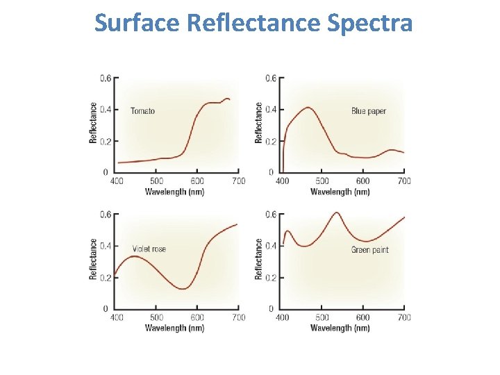 Surface Reflectance Spectra 