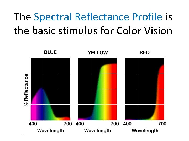 The Spectral Reflectance Profile is the basic stimulus for Color Vision 14 