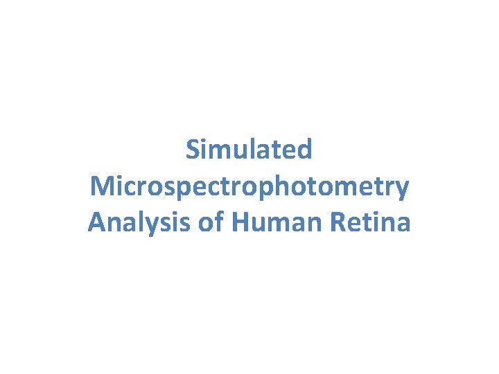 Simulated Microspectrophotometry Analysis of Human Retina 