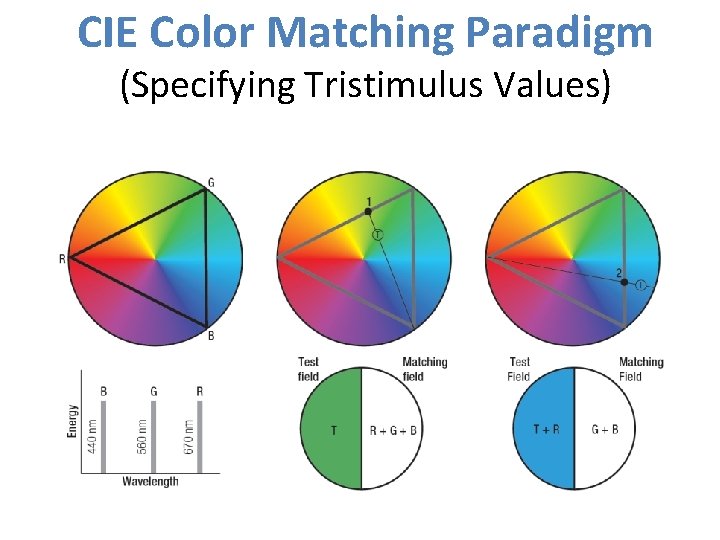 CIE Color Matching Paradigm (Specifying Tristimulus Values) 