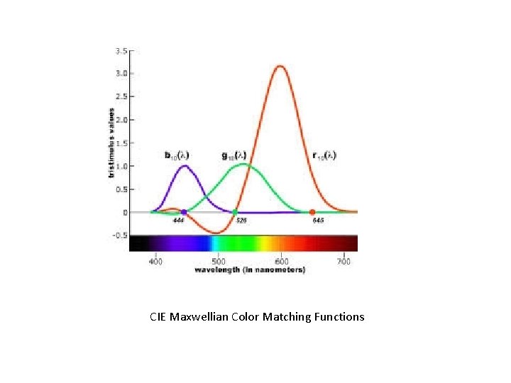 CIE Maxwellian Color Matching Functions 