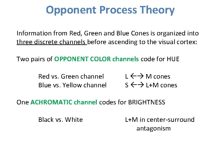 Opponent Process Theory Information from Red, Green and Blue Cones is organized into three