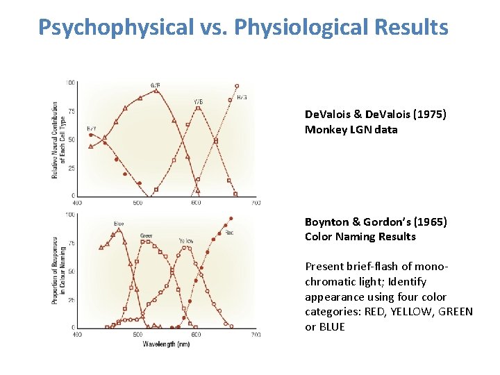 Psychophysical vs. Physiological Results De. Valois & De. Valois (1975) Monkey LGN data Boynton