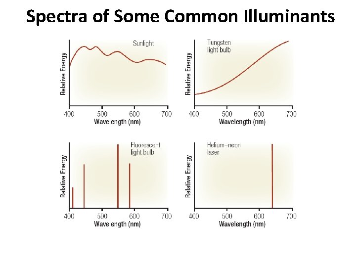 Spectra of Some Common Illuminants 