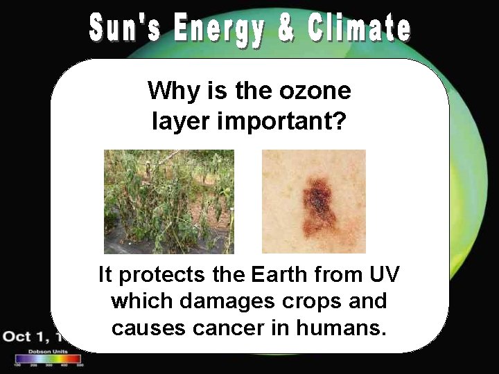 Why is the ozone layer important? It protects the Earth from UV which damages