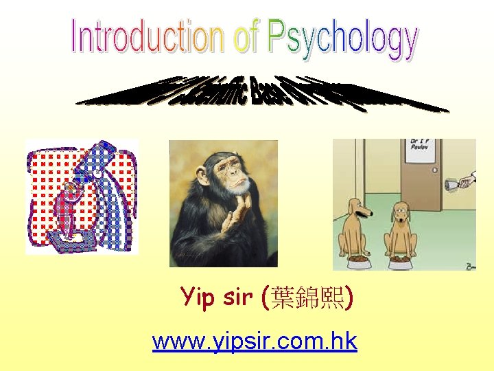 Yip sir (葉錦熙) www. yipsir. com. hk 