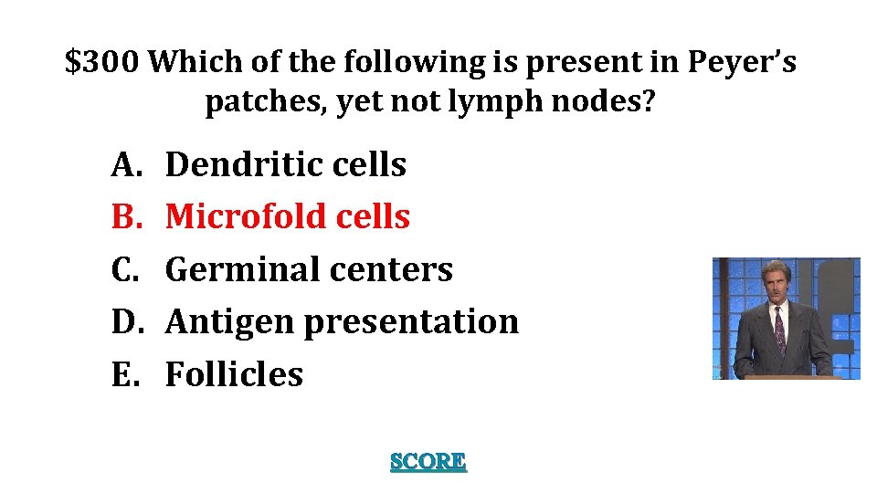 $300 Which of the following is present in Peyer’s patches, yet not lymph nodes?