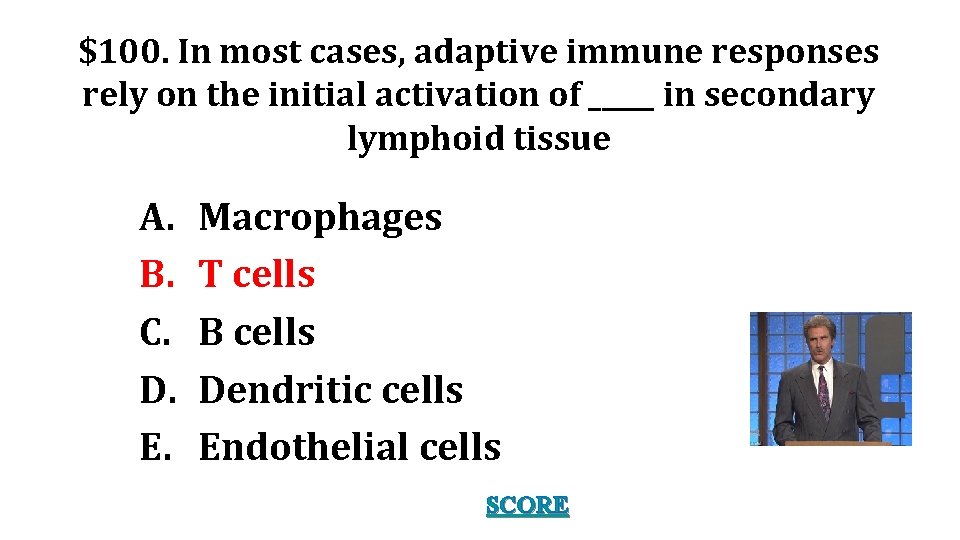 $100. In most cases, adaptive immune responses rely on the initial activation of _____